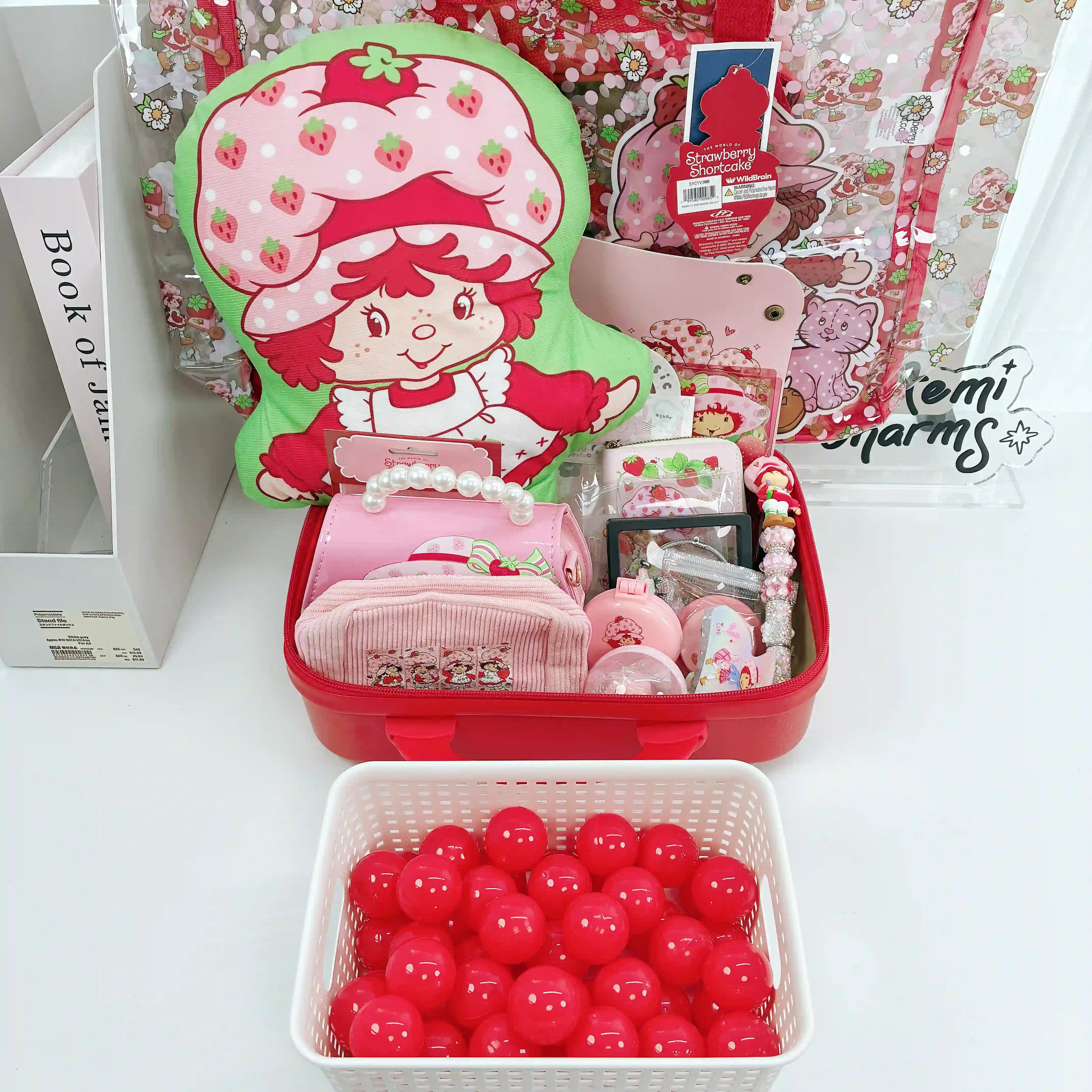 Boîte mystère de valise SS 14 pouces